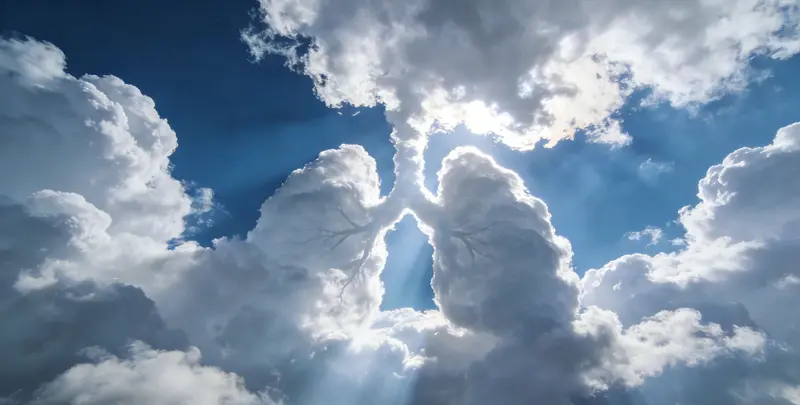 河源肺癌靶向120基因检测（组织）检测图1