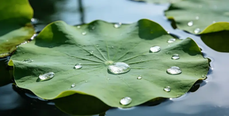 河源乳腺癌21基因mRNA表达分析检测图1