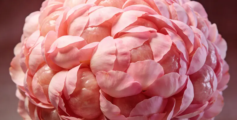 河源乳腺/卵巢癌靶向120基因检测（组织）检测图1